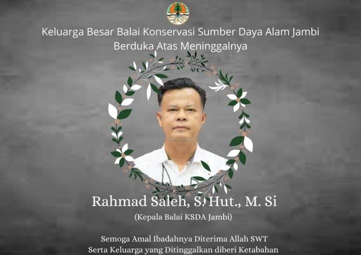 Kepala BKSDA Jambi Rahmad Saleh Meninggal Dunia di RSUD Raden Mattaher