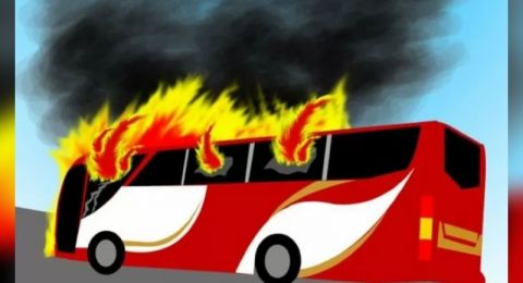 Bis PT Rapi Jurusan Medan-Palembang Terbakar di Tanjakan Naga Tanjab Barat