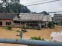 Ribuan Rumah di Kota Jambi Terendam Banjir
