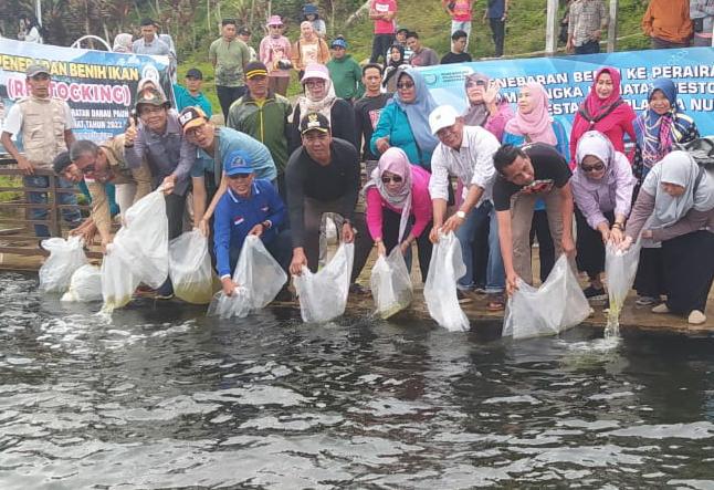 Wabup Merangin Sebar Benih Ikan di- Danau Pauh