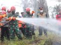 Kasad Apresiasi Penanganan Karhutla di Jambi