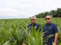 PTPN Inisiasi Program PSR Intercropping Padi Dukung Swasembada Pangan nasional