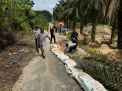 PTPN IV REGIONAL 4 Peduli Perbaiki Jalan Amblas Desa Kampung 9 Kabupaten Batanghari