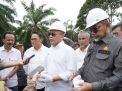 Komitmen Wujudkan Food Security, PTPN IV PalmCo Perluas Program Tanam Padi PTPN ke Provinsi Jambi