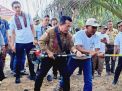 25 Kelompok Jasa Terima Bantuan Dumisake Perkebunan Tahun 2023