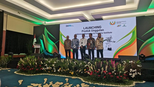 Holding Perkebunan Nusantara PTPN III Akan Dirikan Tiga Sub Holding