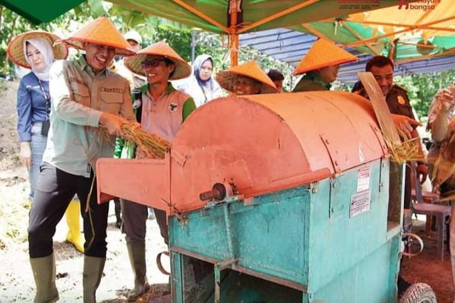 Bupati Batanghari menghadiri sekaligus ikut Panen Raya Padi Sawah Kelompok Tani Suka Damai