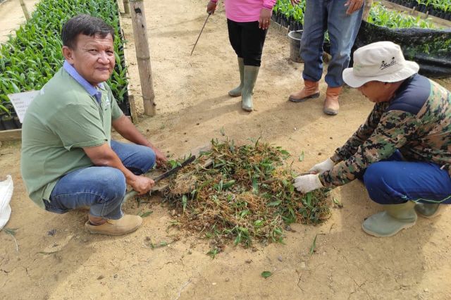 Mengenal Unit Usaha Rimbo Dua PTPN VI