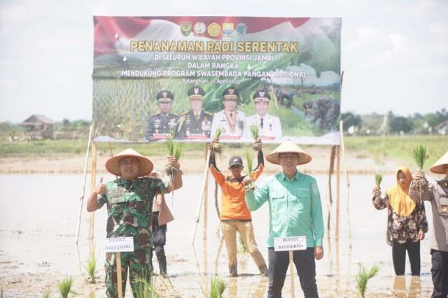 Bupati Fadhil Hadiri Tanam Padi Serentak Se Provinsi Jambi di Desa Senaning