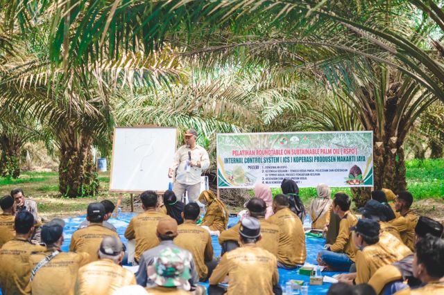 Ratusan Petani Mitra PTPN IV PalmCo Segera Kantongi Sertifikasi RSPO