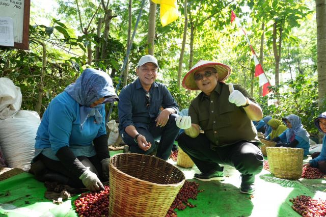 BPK RI Apreasiasi Pengelolaan Kopi Ijen oleh PalmCo:  Siap Bawa Java Coffee Produksi Perusahaan dan Petani Mendunia