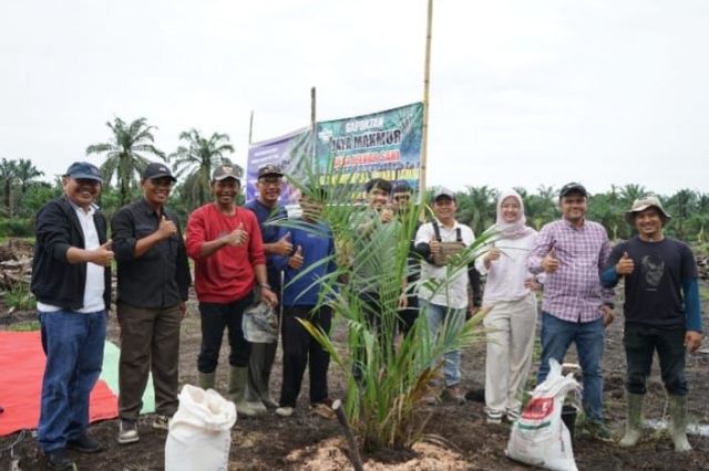 Dukung Asta Cita, PTPN IV Regional 4 Tanam Perdana Sawit Hasil PSR 